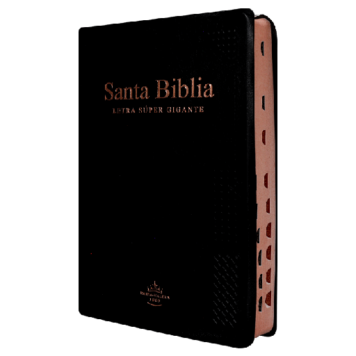 [7899938420423] Biblia Reina Valera 1960 Grande Letra Super Gigante Vinil Negra [RVR082cLSGiPJRTI]