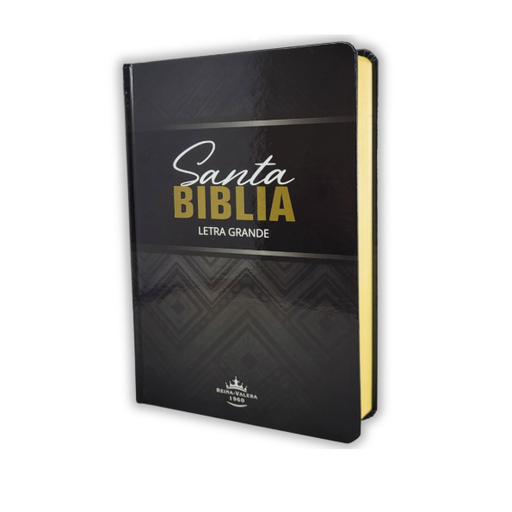 [7899938427064] Biblia Reina Valera 1960 Tapa Dura Ilustrada Letra Grande [RVR063CLGPJR]