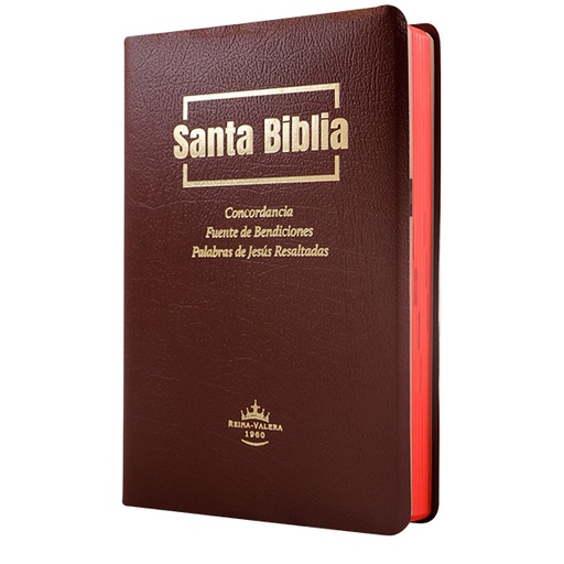 [7899938427224] Biblia Fuente de Bendiciones Reina Valera 1960 Mediana Letra Mediana Imitación Piel Vino [RVR.65uecFBPJR] 