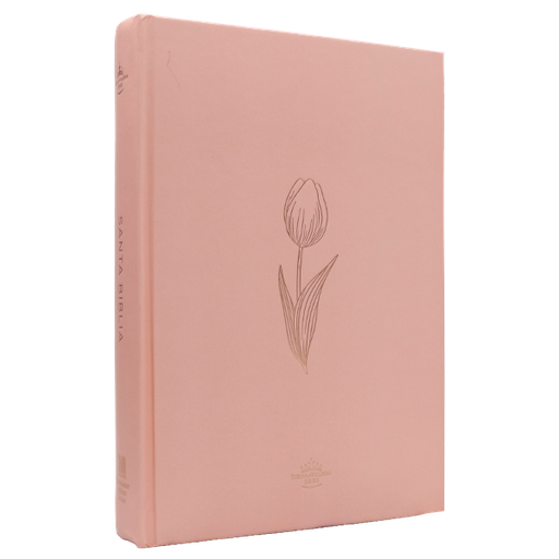 [7899938429426] Biblia Reina Valera 1960 Mediana Letra Grande Minimalista Tapa Dura Rosado [RVR063cLGPJR]  
