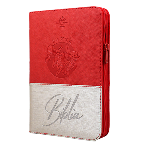 [9786287781795] Biblia Reina Valera 1960 Mediana Letra Grande Imitación Piel Beige/Rojo Código QR [RVR066cLGZTIPJR] 