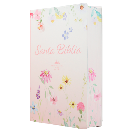 [9788941264644] Biblia Reina Valera 1960 Mediana Letra Gigante 14 pts Vinil  RVR062cLGiPJR Lustre 