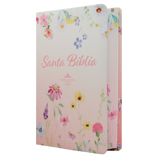 [9788941264729] Biblia Reina Valera 1960 Mediana Letra Gigante 14 pts Imitación Piel PU  RVR065cLGiPJR Lustre 